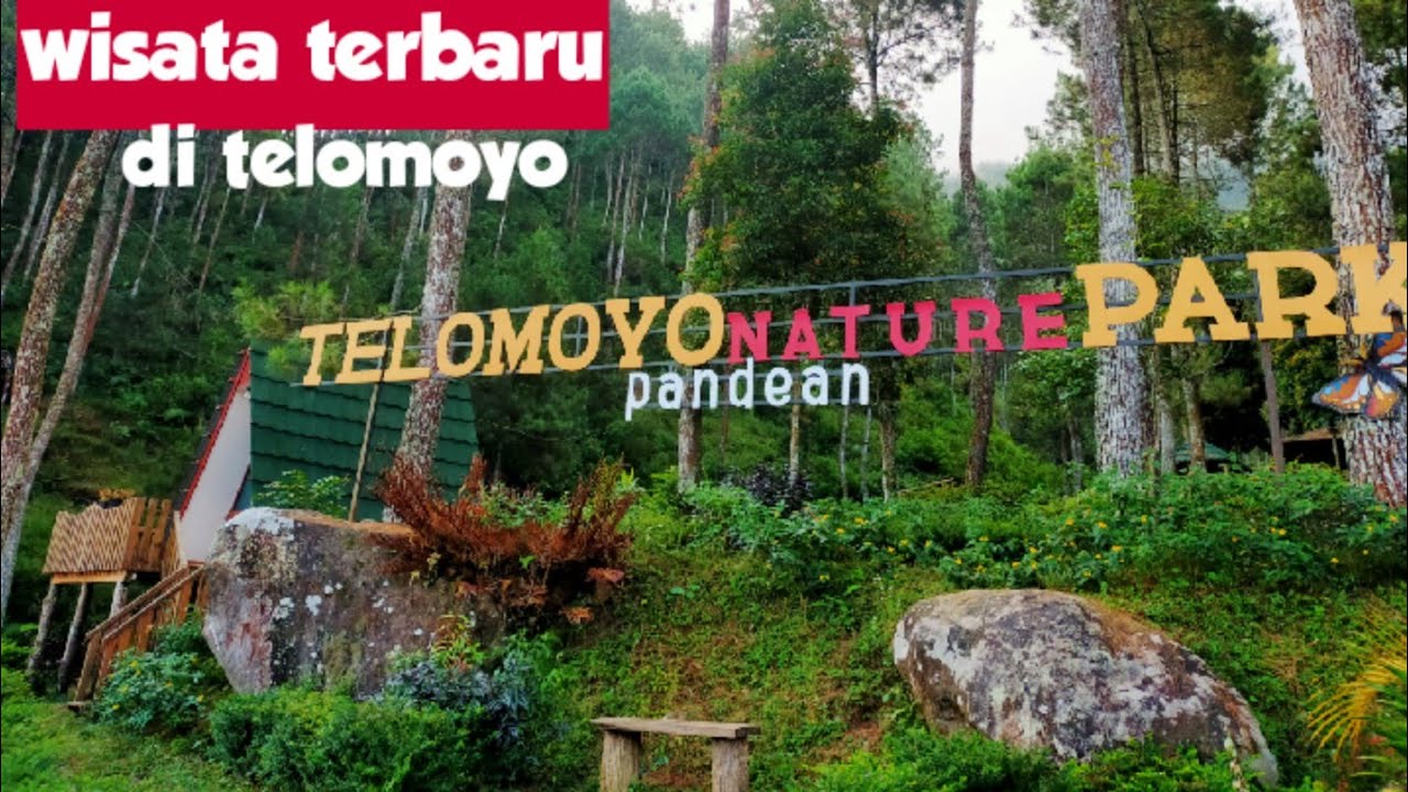 Telomoyo Nature Park: Destinasi Liburan Menakjubkan di Lereng Gunung Merapi